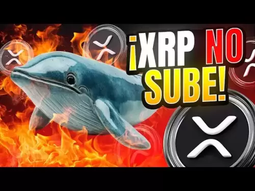 鲸鱼希望您出售XRP！我解释了为什么波纹不会上升