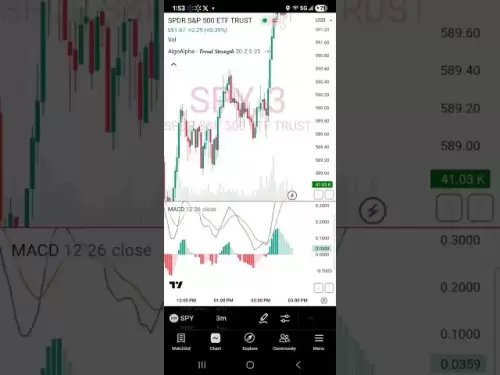 WIF硬币技术分析和预测