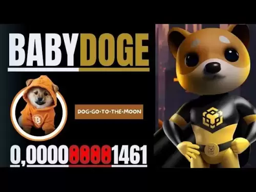 tobaby Doge硬幣//狗去月球 +生日和更新#babydoge #doggotothemoon #dog