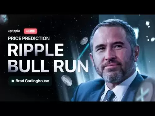 布拉德·加林豪斯（Brad Garlinghouse）：Ripple Bull Run確認！ XRP價格預測