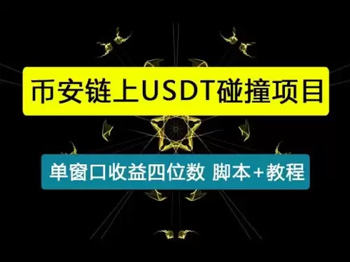 [Card Secret Project] Binance Chain USDT Collision Project with a charge of 2999 outside, with a single window revenue of four digits [Protocol script + usage tutorial]