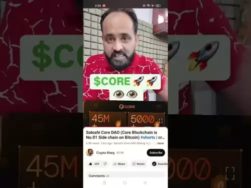 什麼是*coredao*。什麼是*corecoin*＆它是未來。