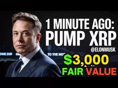 埃隆·馬斯克（Elon Musk）令人震驚的XRP目標：3,000美元即將到來？這是您現在需要知道的！