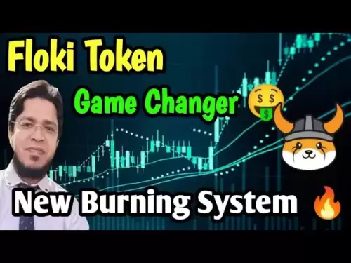 Floki Trading Bot如何建造加密貨幣|令牌燒傷，收養和利潤
