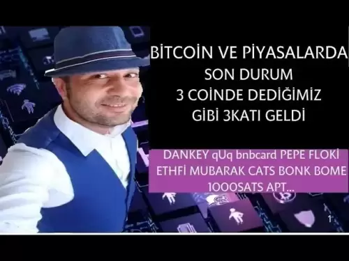 Ghibli ghi tat bnbcard donkey jagger pepe instead of cats dogs aptos ...