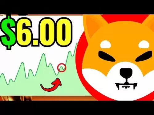 巨大的3年Shib Discovery洩漏了Shiba INU價格！ （$ 6.00！）Shiba INU硬幣新聞預測