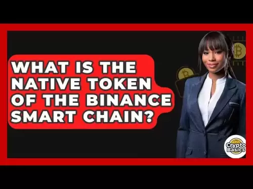 Binance智能鏈的本地令牌是什麼？ -CryptoBasics360.com
