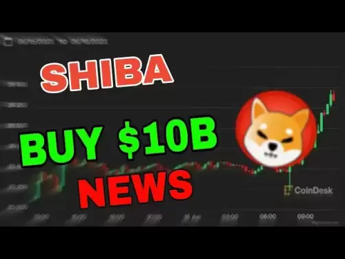 什巴伊努硬幣新聞今天！什葉派價格預測