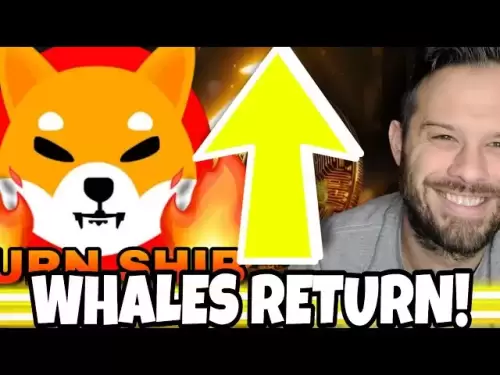 Shiba Inu硬幣|鯨魚返回濕布油漆非常看漲的圖片！