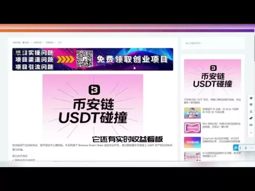 币安链上USDT碰撞项目单窗口收益四位数协议脚本+使用教程
