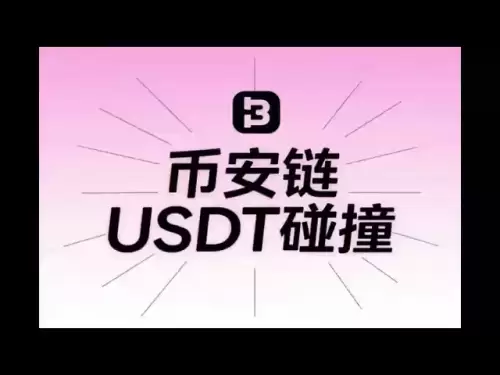 幣安鏈上USDT碰撞項目單窗口收益四位數協議腳本+使用教程