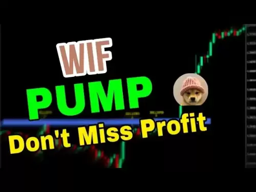 Wif Coin News Today！dogwifhat Wif価格予測