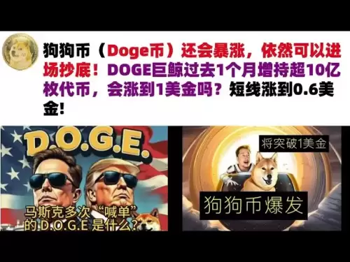 DogEcoin (Dogecoin) wird weiter steigen und Sie können immer noch den Markt betreten, um unten zu kaufen! Der Doge Giant Wal hat im vergangenen Monat seine Beteiligung an mehr als 1 Milliarde Token erhöht. Wird er auf 1 US -Dollar steigen? Kurzfristiger A