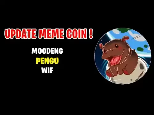 模因硬币更新！ Moodeng，Wif，Pengu！