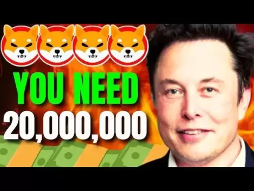 Qu'est-ce que 20 000 000 Shiba Inu Coin Beworth en 2025? - Shiba Inu Coin News aujourd'hui