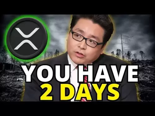 XRP持有人：剩下90天的準備 - 這是您需要知道的