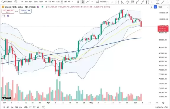 Cheds Trading
