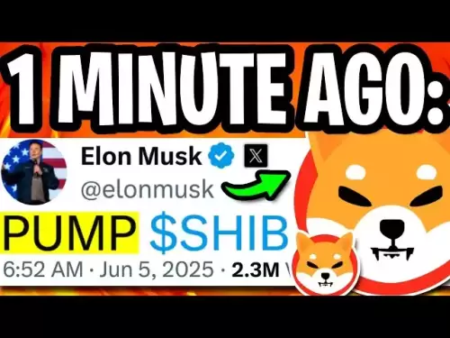 SHIBA INU: ELON MUSK, ARE YOU SERIOUS?! TRILLIONS OF SHIBA INU GONE! - SHIBA INU COIN NEWS TODAY