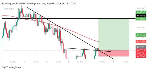 Unknown Trader