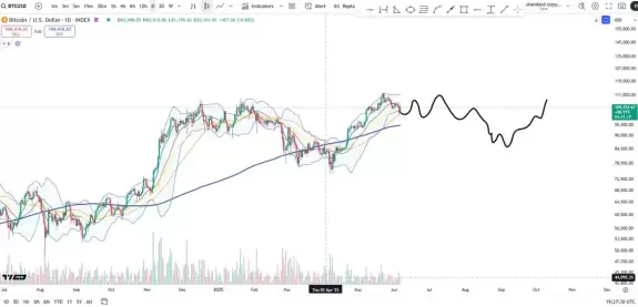 Cheds Trading