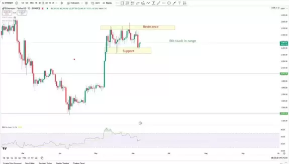 Bitbull