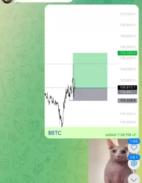raizelXbt