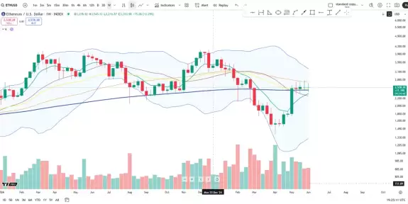 Cheds Trading