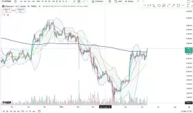 Cheds Trading