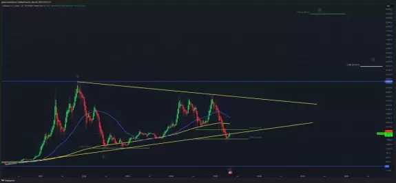 The Long Investor