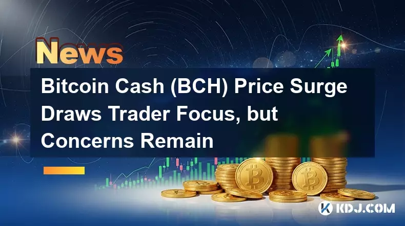 Bitcoin Cash (BCH) La surtension des prix attire le commerçant, mais des préoccupations demeurent