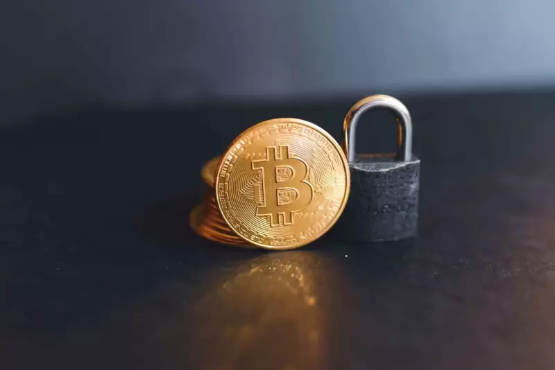 Bitcoin Core 30 Update Will Significantly Increase the Data Limit for the OP_RETURN Function