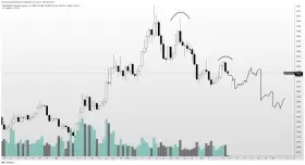 Altcoin Sherpa
