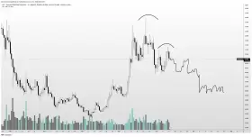 Altcoin Sherpa