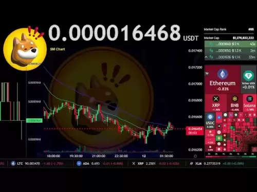 $ bonk |直播24/7 | Bonk USDT |邦克硬币| $ BONK交易信号图表