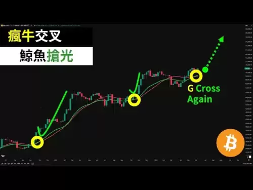 BTCクレイジーブルゴールデンフォーク +ジャイアントクジラバイ！ビットコインは脳のない強気ですか？