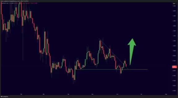 Mister Crypto