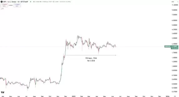 Bitbull