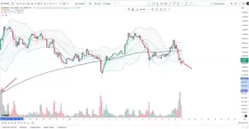 Cheds Trading