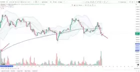Cheds Trading