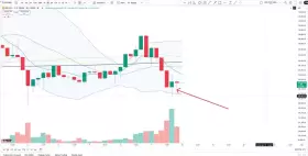 Cheds Trading