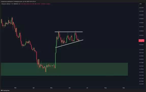 Crypto Rover