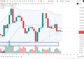 Cheds Trading