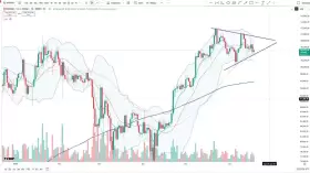 Cheds Trading