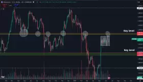 Daan Crypto Trades