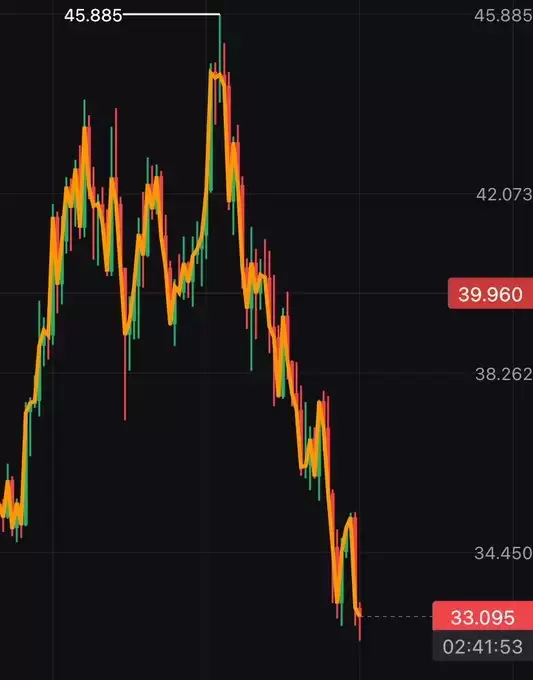 raizelXbt