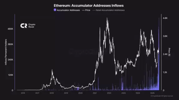 Crypto Rover