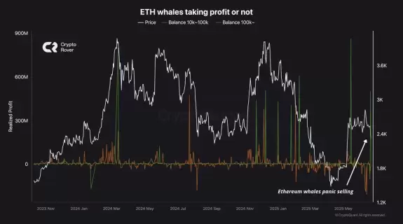 Crypto Rover