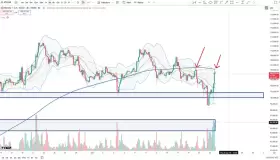 Cheds Trading