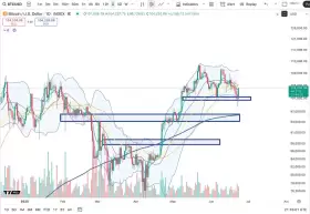 Cheds Trading