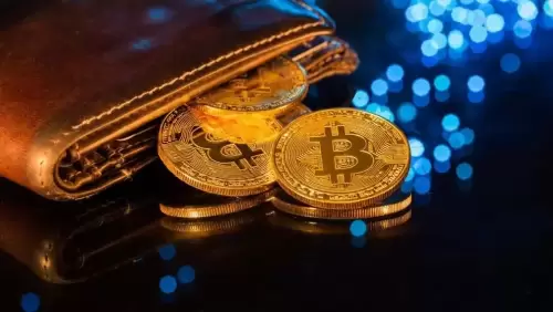 Paris milliardaires, banques de bitcoins et sociétés de logiciels: une convergence cryptographique?